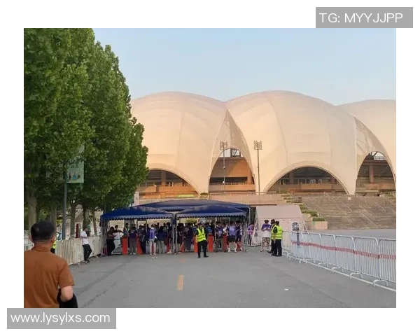 沧州雄狮：传承千年文化与现代技艺的辉煌象征