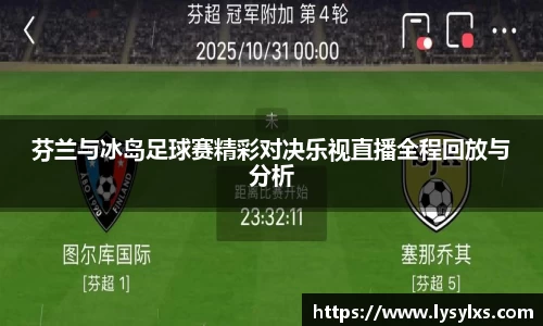芬兰与冰岛足球赛精彩对决乐视直播全程回放与分析