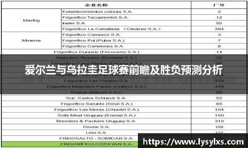 爱尔兰与乌拉圭足球赛前瞻及胜负预测分析